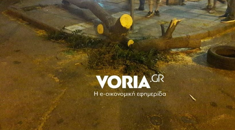 Θεσσαλονίκη: Ο αέρας έριξε τουλάχιστον δέκα δέντρα – Σοβαρές υλικές ζημιές